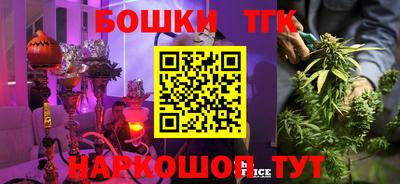 прущие крисы Можга