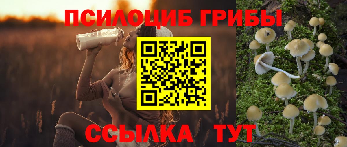 Черкесск  Псилоцибиновые грибы Psilocybe  Галлюциногенные грибы мухоморы  Вход с VPN 